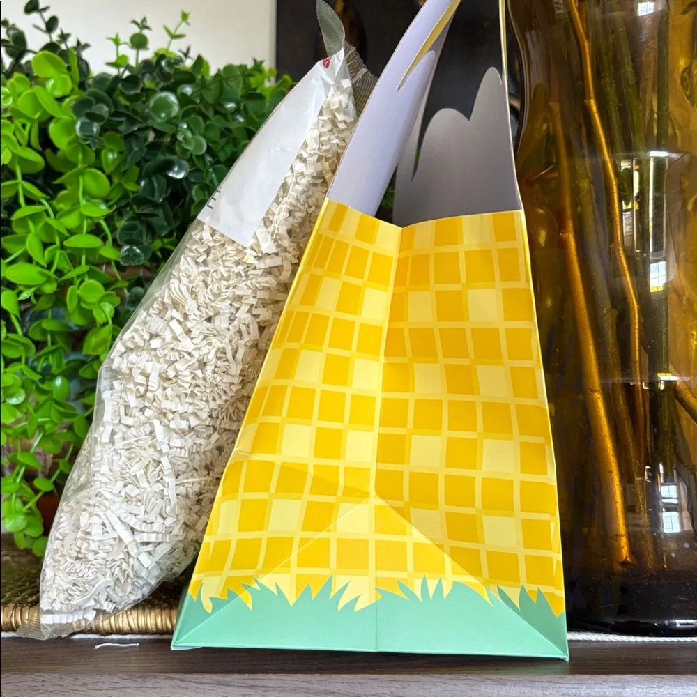 🆕American Greetings Easter “Basket” Gift Bag With Scented Shredded Paper